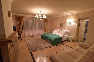 Курортные отели Lacul Verde Resort Плоешти Стандартный двухместный номер с 1 кроватью или 2 отдельными кроватями-27